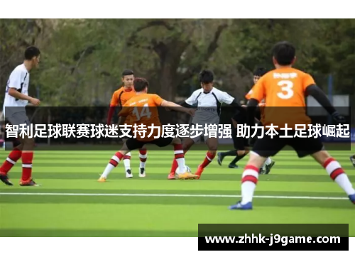 智利足球联赛球迷支持力度逐步增强 助力本土足球崛起