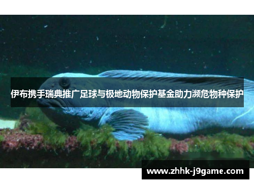 伊布携手瑞典推广足球与极地动物保护基金助力濒危物种保护