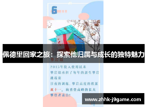 佩德里回家之旅：探索他归属与成长的独特魅力