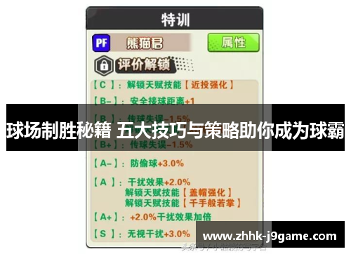 球场制胜秘籍 五大技巧与策略助你成为球霸