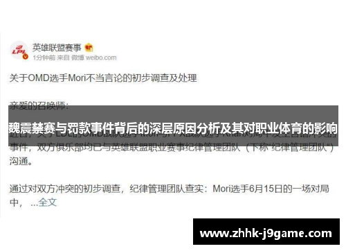 魏震禁赛与罚款事件背后的深层原因分析及其对职业体育的影响